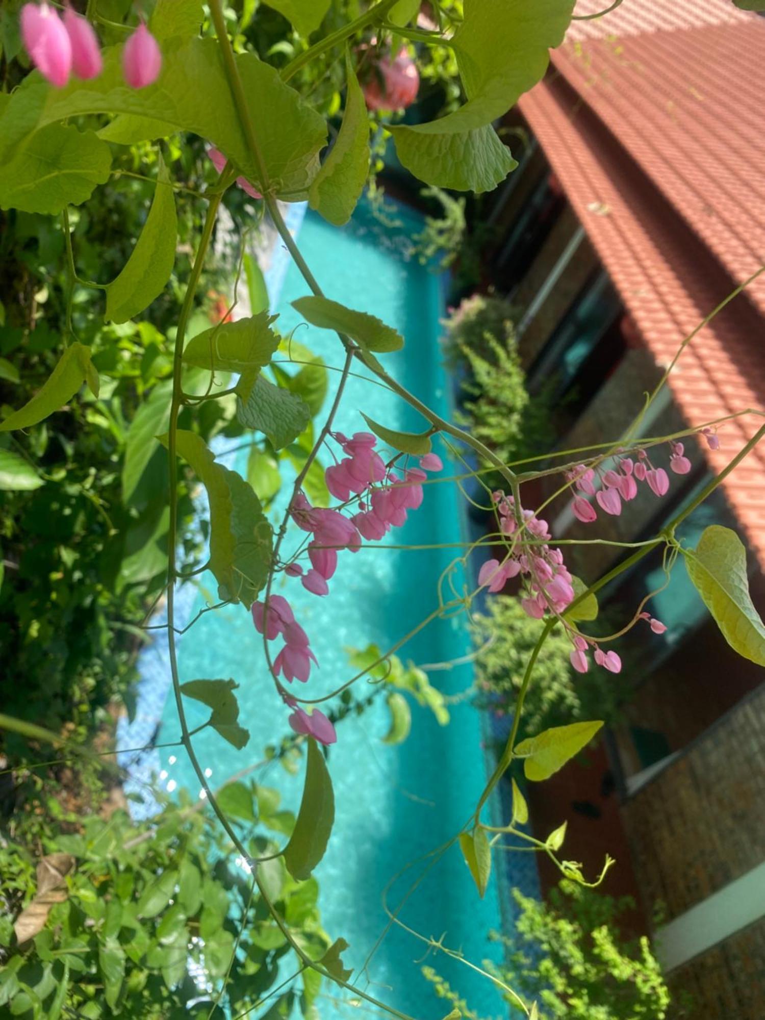 Sunshine Villa Thuy Bieu Hue Buitenkant foto