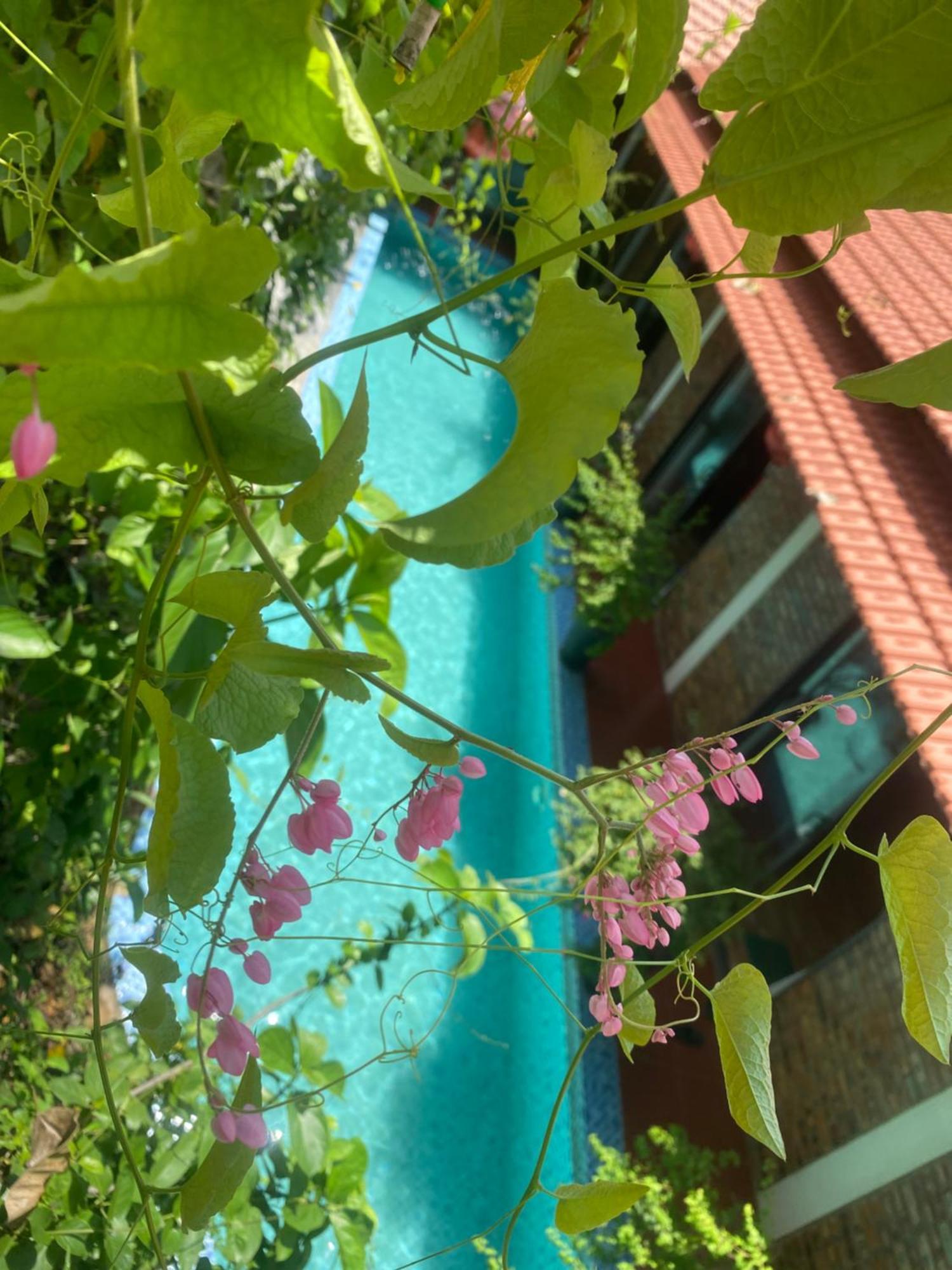 Sunshine Villa Thuy Bieu Hue Buitenkant foto