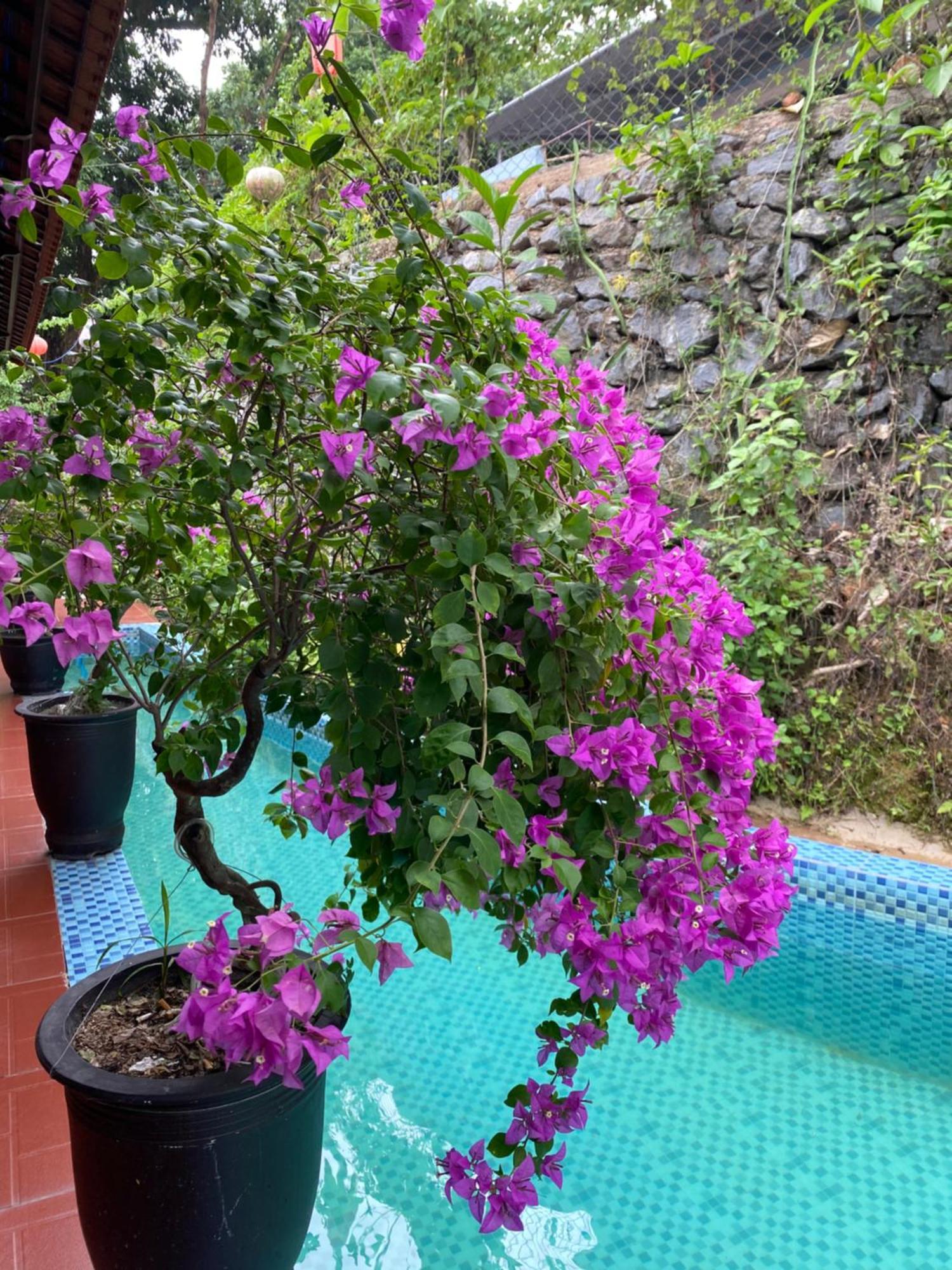 Sunshine Villa Thuy Bieu Hue Buitenkant foto